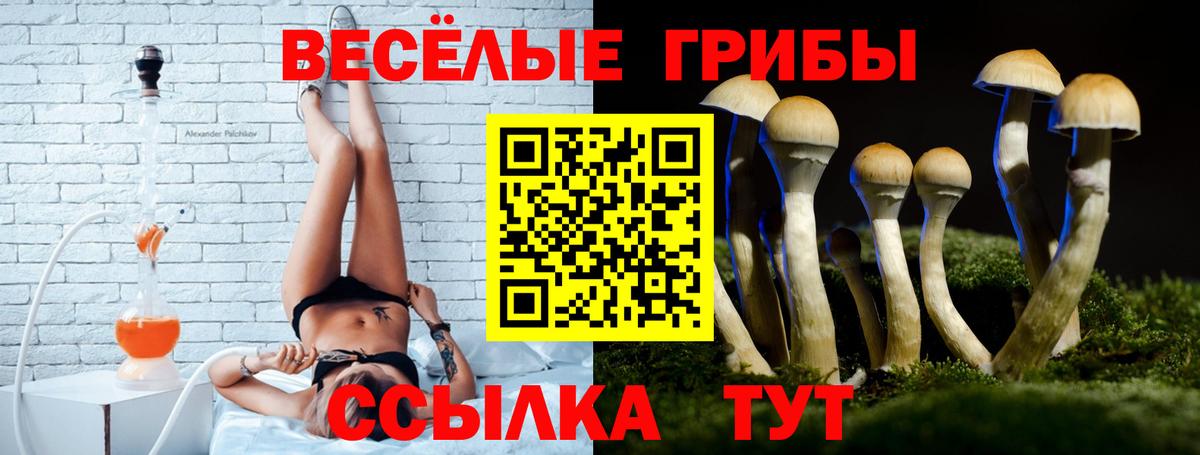 Вологда  Галлюциногенные грибы GOLDEN TEACHER  Вход с VPN  Галлюциногенные грибы Magic Shrooms 