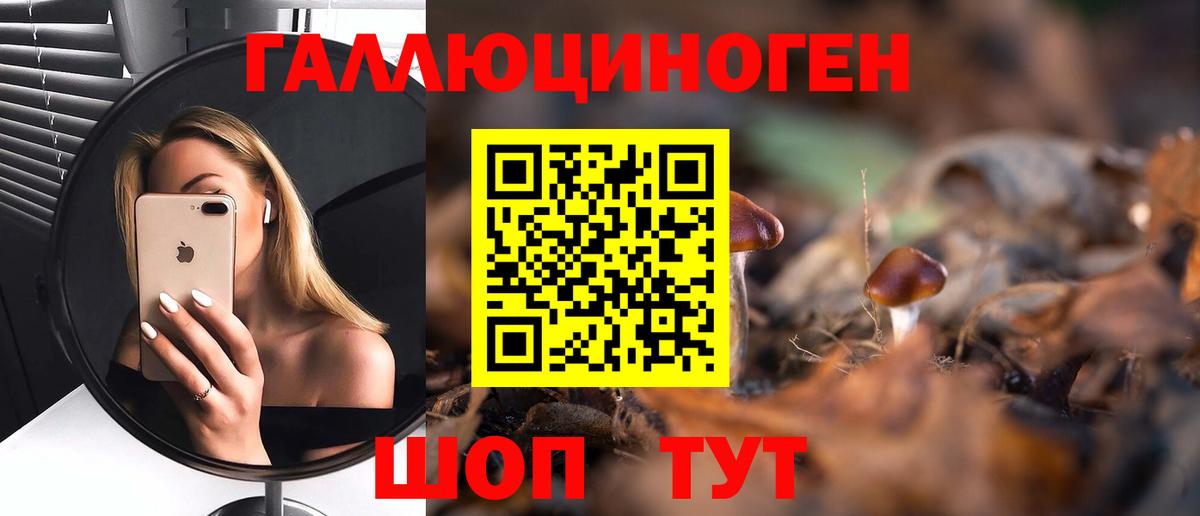 Галлюциногенные грибы Psilocybe Вологда