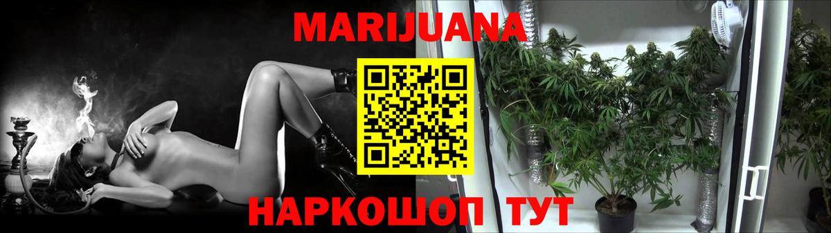 Бошки Шишки планчик  Шишки марихуана Amnesia  Вологда  Бошки марихуана ГИДРОПОН  Марихуана тримм  Вход с VPN 